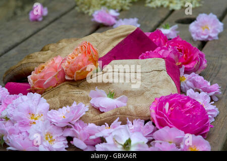 gloves left on table after gardening Stock Photo