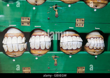 England, Cambridgeshire, Cambridge, Whipple Museum of the History of Science, Models of Horses Teeth dated 1890 Stock Photo