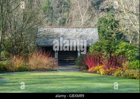 Garden House Surrounded by Cornus alba sibirica (Siberian Dogwood) in the Winter Garden at RHS Rosemoor Stock Photo