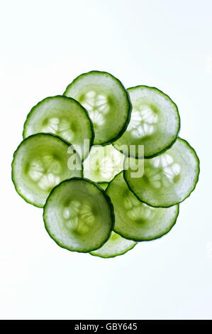 A back lit rosette of sliced cucumbers on a white background Stock Photo