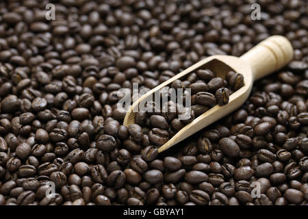 roasted peaberry coffee beans Stock Photo
