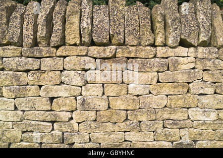 dh  COTSWOLDS GLOUCESTERSHIRE Cotswold stone wall Stock Photo