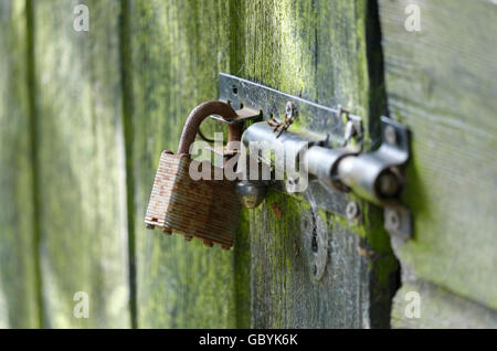 padlock on old, weathered garden shed, norfolk, england Stock Photo