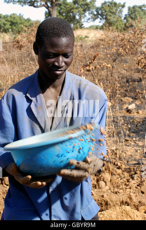 mine in wild golden Poura gold diggers come from everywhere to dig for gold nuggets with simple bowls Stock Photo