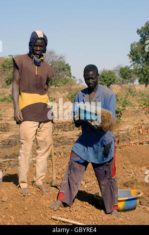 mine in wild golden Poura gold diggers come from everywhere to dig for gold nuggets Stock Photo