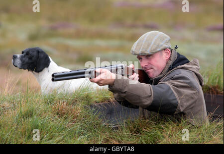 Ian Elliot, Grouse Keeper at Horseupcleugh and Pointing dogs, on the heather moorland in Berwickshire looking for red grouse ahead of the Glorious 12th grouse shooting season across Scotland. Grouse shooting has largely escaped the bite of the recession according to the Moorland Association. Stock Photo