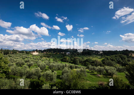 View over olive groves from the Giardino di Boboli on the outskirts of Florence, Tuscany, Italy Stock Photo
