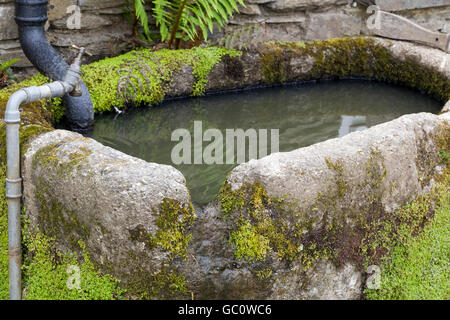 Moss covered stone watering hole Stock Photo