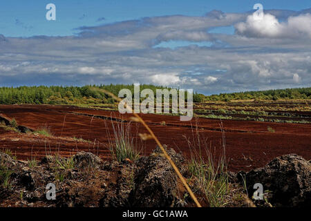 Standalone: A general view of Bogland in Co.Offaly as activists attend Ireland's first climate camp which opened beside the Electricity Supply Board's Peat Burning Power Station in Shannonbridge Co.Offaly. Stock Photo