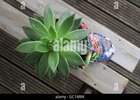 Cactus in a decoupaged boot Stock Photo