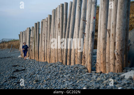 Wooden sea defences made from redundant telegraph poles on the beach, in an attempt to control the coastal erosion along the low cliffs along the Cardigan Bay shoreline at Llanon, on the west coast of Ceredigion Wales UK Stock Photo