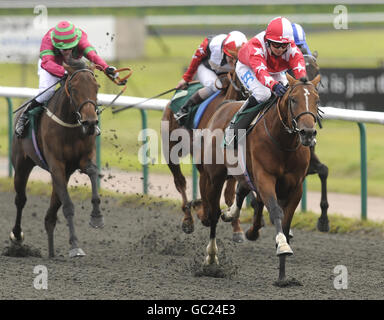 Horse Racing - Lingfield Racecourse Stock Photo