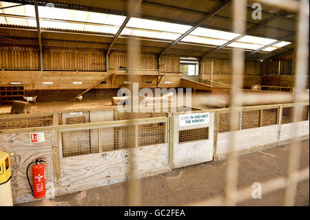The closed off sheep and goat pen in World of Country Life farm, in Exmouth, Devon, which is open for business, but has closed some of the farm animal enclosures to the public as a precaution after recent E Coli outbreaks across the UK. Stock Photo