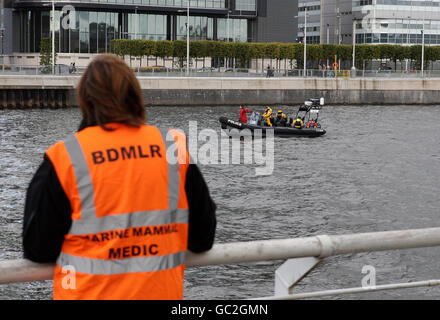 Marine mammal experts conduct a rescue operation for a Northern Bottlenose whale seen swimming in the River Clyde in Glasgow. Stock Photo