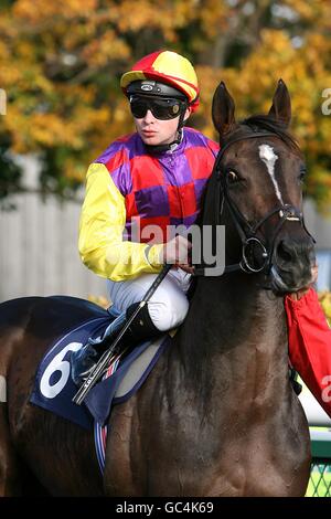 Horse Racing - Champions' Meeting - Newmarket Racecourse. Tadhg O'Shea, jockey. Stock Photo