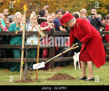 Britain's Queen Elizabeth II plants a tree as she visits Newmarket Animal Health Trust. Stock Photo