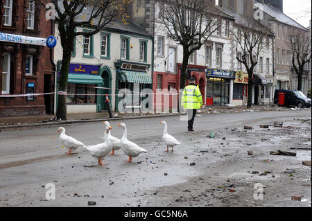 Geese walk down the high street in Cockermouth, Cumbria, where flood water has receded after torrential rain caused rivers to burst their banks. Stock Photo