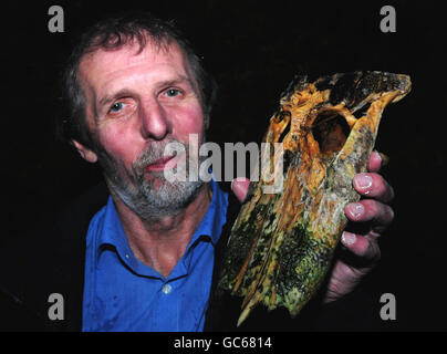 Peter Lumb from Huddersfield holds the remains of an alligator skull which he found while walking his dogs on the moors near his Huddersfield home. Stock Photo