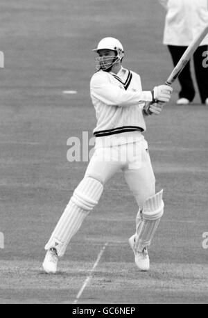 Cricket - Benson and Hedges Cup Final 1991 - Lancashire v Worcestershire - Lord's Cricket Ground Stock Photo