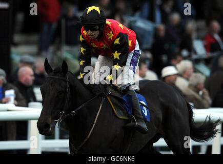 Kaybeew ridden by Paddy Brennan goes on to win the Sandy & Leanora 2008 Afghanistan Walk Standard Open National Hunt Flat Race at Plumpton racecourse. Stock Photo