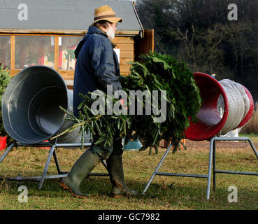 Members of the public buying Christmas trees at Bradgatetree Farm, Woodhouse Eaves, Leicestershire. Stock Photo