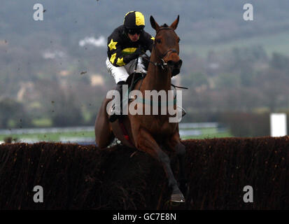 Sound Stage ridden by Ian Popham jumps the last to go on and win the CF Roberts Electrical and Mechanical Services Conditional Jockeys' Handicap Steeple Chase during the Boylesports International meeting at Cheltenham Racecourse, Gloucestershire. Stock Photo