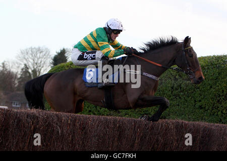 Award Winner, ridden by jockey A.P. McCoy, in action during The Sign Up Bonus betinternet.com Novices' Handicap Steeple Chase Stock Photo