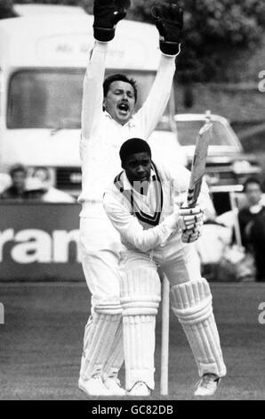 Cricket - Sussex v West Indians - West Indies in England 1988 - County Ground, Hove. Sussex wicket-keeper Ian Gould appeals as West Indies Gus Logie is stopped at his crease, lbw Stock Photo