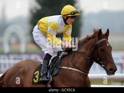Jockey Barry McHugh on Quiet Mountain goes to post in the victorchandler.com Median Auction Maiden Stakes Stock Photo