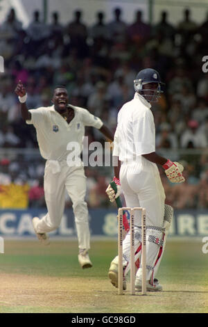 WEST INDIAN FAST BOWLER CURTLY AMBROSE CELEBRATES THE WICKET OF ENGLAND'S CHRIS LEWIS AT THE KENSINGTON OVAL. Stock Photo