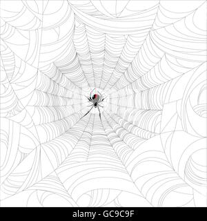 Black widow spider on web Stock Vector
