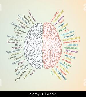 Creative brain Idea. Vector concept. Sciences and arts. Left and right brain functions. Stock Vector
