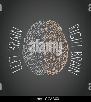 Creative brain Idea. Vector concept. Sciences and arts. Left and right brain functions. Stock Vector