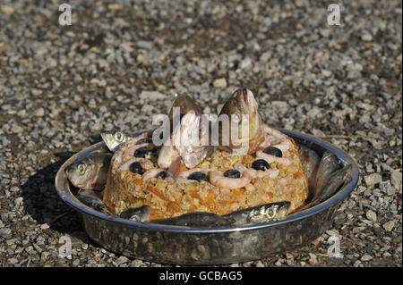 A specially prepared birthday cake containing chicken mince, carrot, apple, sprats, prawns, blueberries and topped off with trout heads as makeshift candles, as Minnie and Haha, two North American River Otter cubs, celebrate their first birthday at Slimbridge Wetland Centre in Gloucestershire. Stock Photo