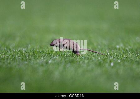 Soccer - Barclays Premier League - Manchester United v West Ham United - Old Trafford Stock Photo