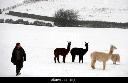 Winter weather Feb24th Stock Photo