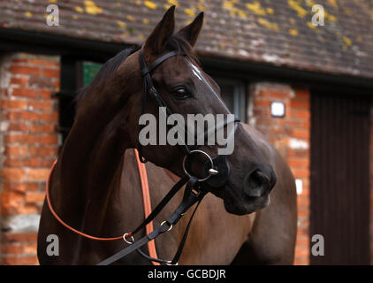 Horse Racing - Paul Nicholls Stable Visit - Manor Farm Stock Photo