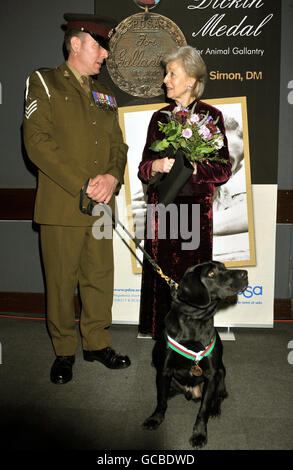Black Labrador Treo, a retired Army explosives search dog who received the Dickin Medal, the animal equivalent of a Victoria Cross, with his handler Sergeant Dave Heyhoe talking to Princess Alexandra who presented the medal during a ceremony at the Imperial War Museum in south London. Stock Photo