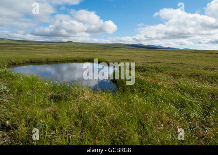 Alaska, Nome, Bob Blodgett Nome-Teller Highway aka Teller Road ...