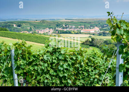 Mailberg vineyards, town and castle Mailberg Austria Niederösterreich, Lower Austria Weinviertel Stock Photo