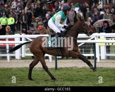 Horse Racing - 2010 Cheltenham Festival - Day Three. Saphir Des Bois ridden by Jenny Carr going to post Stock Photo
