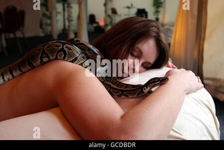 Chessington World of Adventures employee Carly Shutes enjoys a snake massage with a python, during the launch of the theme park's new area, Wild Asia. Stock Photo