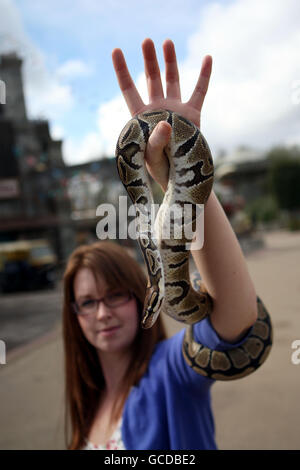 Wild Asia opens at Chessington World of Adventures Stock Photo