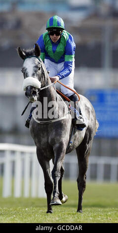 Lady Springbock ridden by James Crowley wins the 1000 Guineas Trial stakes during the 1000 and 2000 Guineas Trials Day at Leopardstown Racecourse. Stock Photo