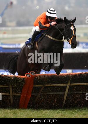 Horse Racing - 2010 Cheltenham Festival - Day Two. Hurdle Stock Photo