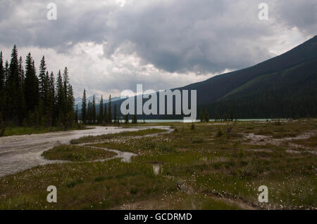 Where prairies meet the mountains Stock Photo