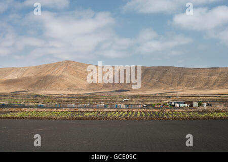 The El Cuchillo Maar, a large hydrovolcanic crater now used for agriculture, in Lanzarote, Canary Islands Stock Photo