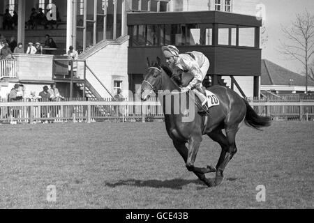 Horse Racing - Newmarket Races. Pollerton, with Christy Roche up at Newmarket Races. Stock Photo