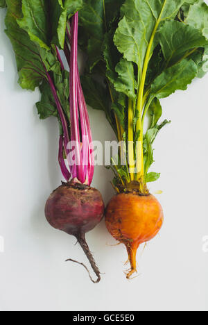 red and white beetroot - beets with green leaves and one cut in half ...