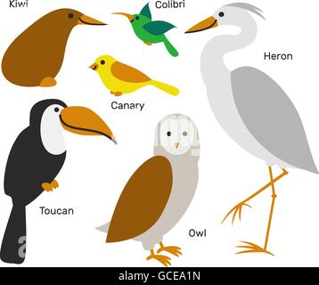 Cute cartoon bird set isolated on white background. Stock Vector